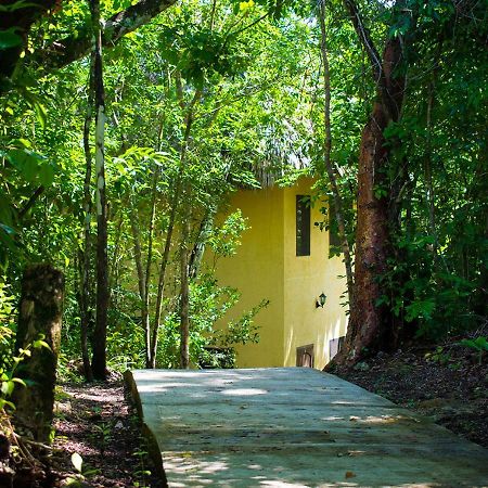 Amber Sunset Jungle Resort San Ignacio Zewnętrze zdjęcie