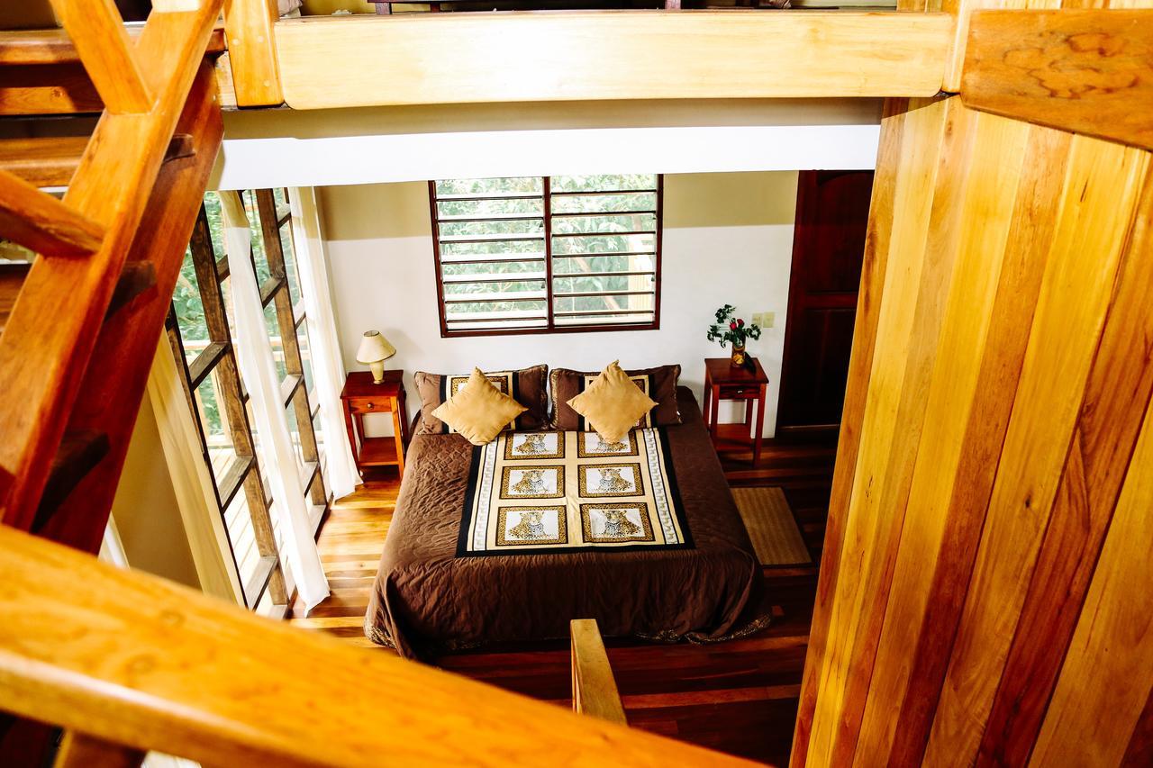 Amber Sunset Jungle Resort San Ignacio Zewnętrze zdjęcie