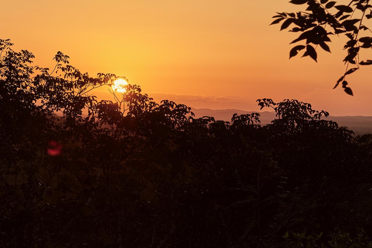 Amber Sunset Jungle Resort San Ignacio Zewnętrze zdjęcie