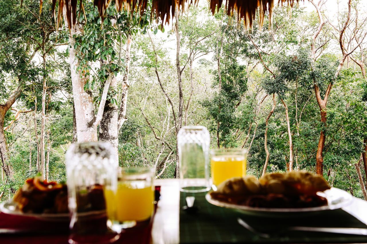 Amber Sunset Jungle Resort San Ignacio Zewnętrze zdjęcie
