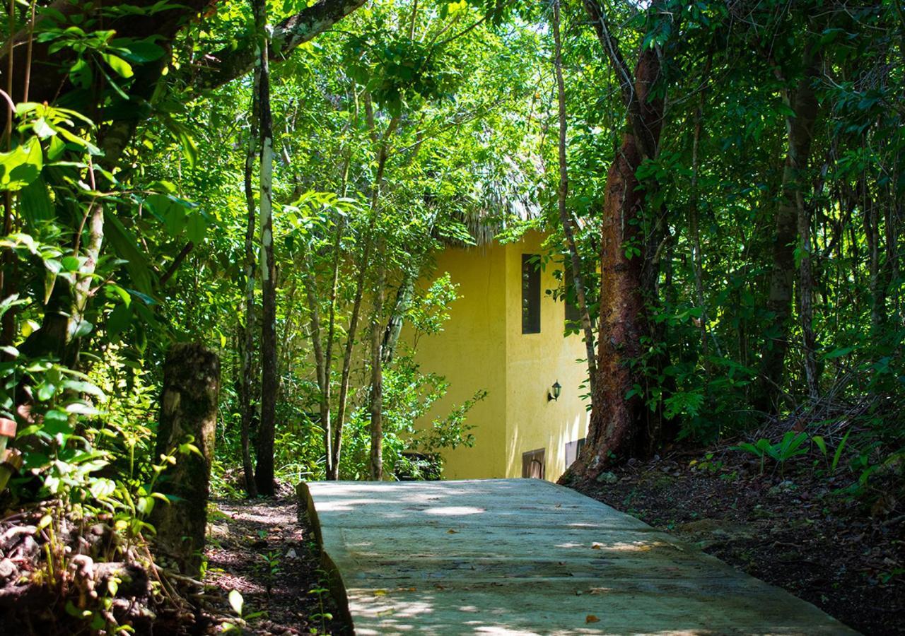 Amber Sunset Jungle Resort San Ignacio Zewnętrze zdjęcie